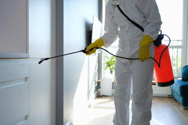 Middleport, NY Mold Remediation Company